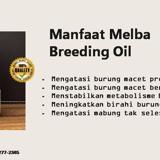 cara menjadi distributor baju di malaysia