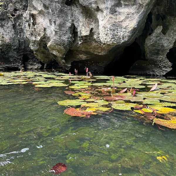 9/4/2023にStephanie M.がHang Múa (Mua Caves)で撮った写真