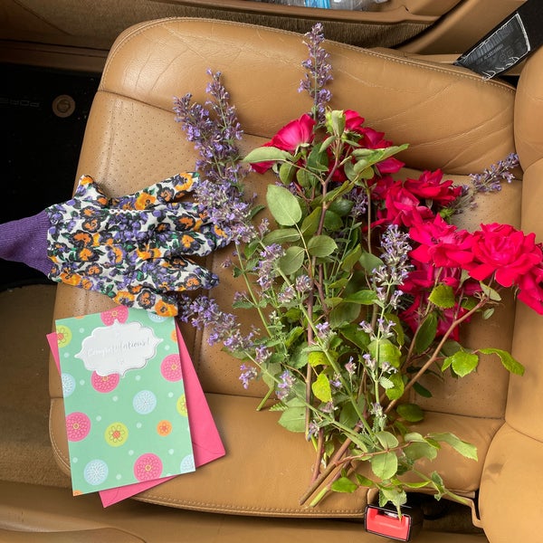 Dollar Tree Discount Store in Moorestown