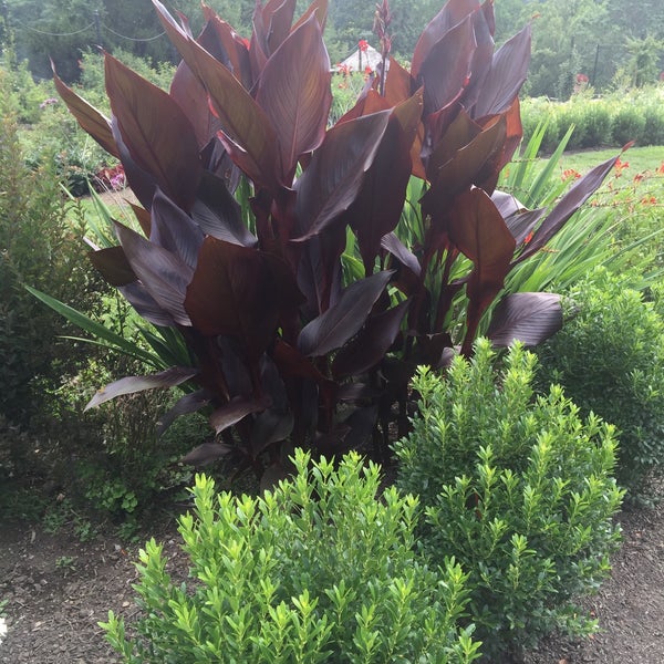 Photo taken at Morris Arboretum by Sulena R. on 7/22/2016