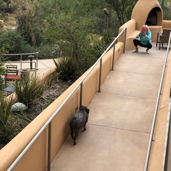 Foto tomada en JW Marriott Tucson Starr Pass Resort &amp; Spa  por Sulena R. el 11/11/2019