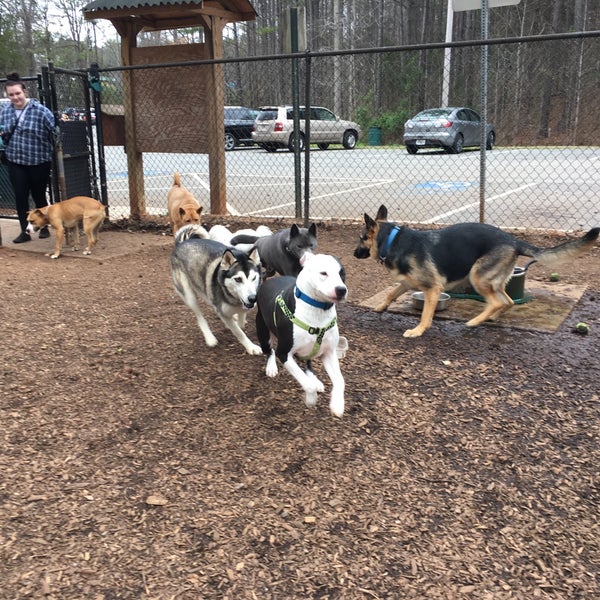 Sweat Mountain Dog Park East Cobb 16 tips from 309 visitors