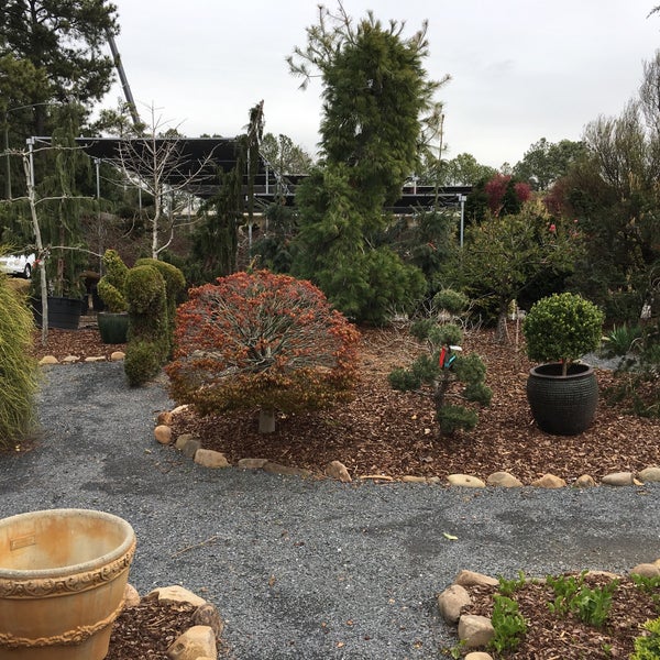 Topiary Courtyard wholesale nursery - Norcross, GA