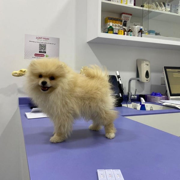 3/22/2022에 shouq님이 Joon Veterinary Clinic &amp; Pet Shop에서 찍은 사진