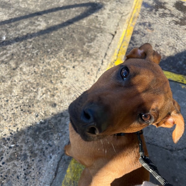 Bagel World Fort Greene 18 tips