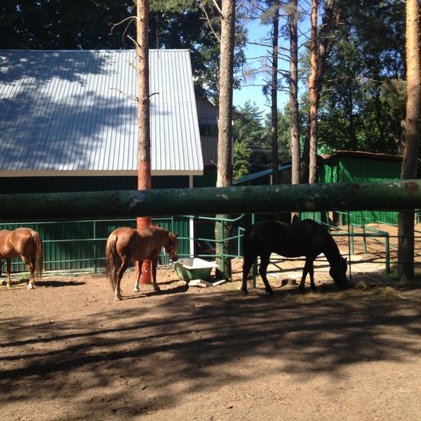 Лагерь дружных барнаул карта
