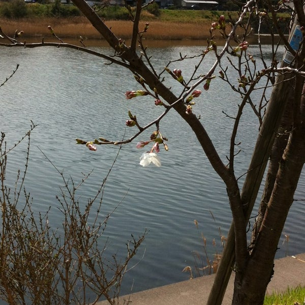 Photos At 藍場川の家 萩市 山口県