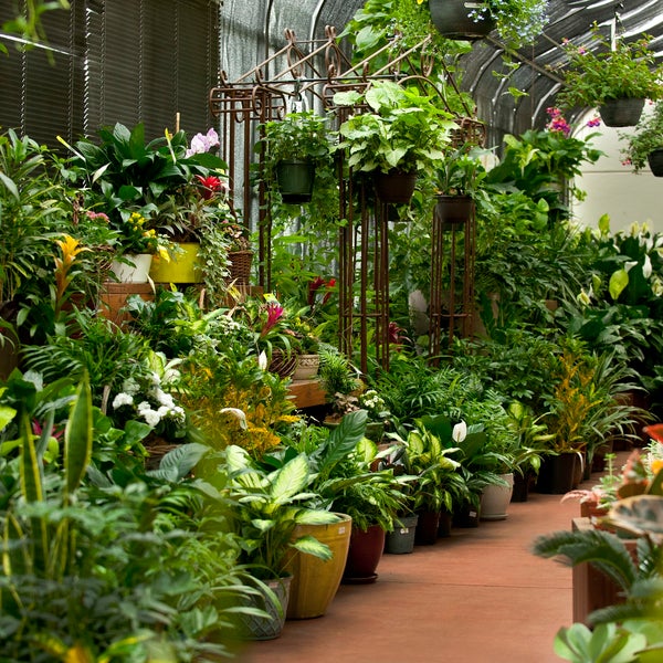 Palmer Flowers 3710 Mitchell Drive