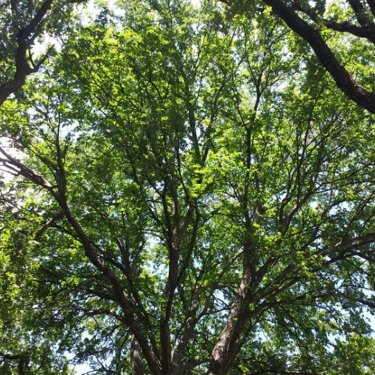 сломанная лавочка в парке. сломанная лавочка в парке. красивый вид на скамейке пусто. Break park. олд скул брейк.