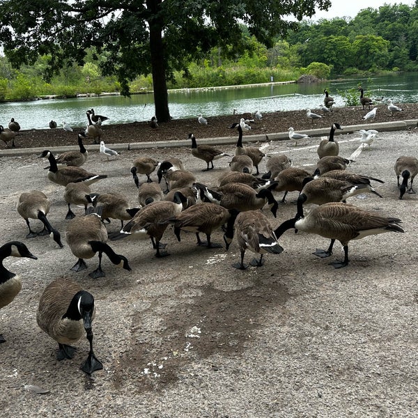 Dufferin Islands Niagara Falls, ON