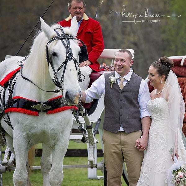The Farm At Ridgeway Farm in Ridgeway