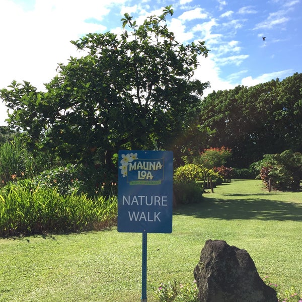 Foto tomada en Mauna Loa Macadamia Nut Visitor Center  por Shuzo H. el 6/6/2015