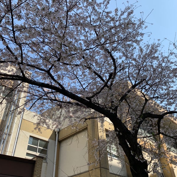 Photos A 名古屋市立清水小学校 北区 北区清水5 3 1