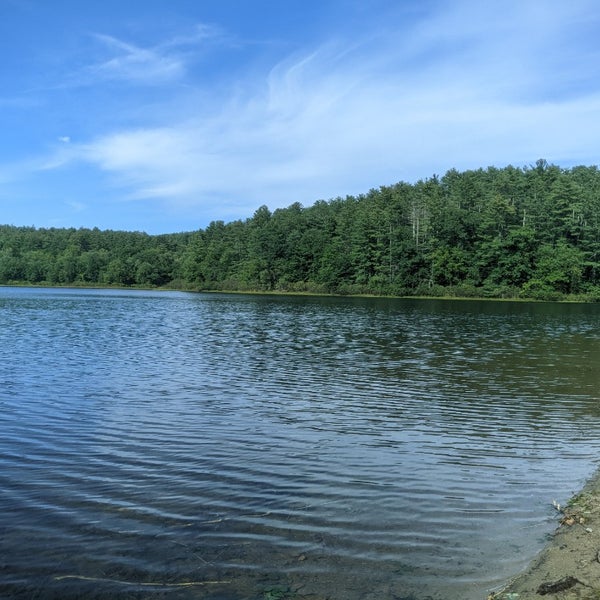 Lake Mcdonough Beach in Barkhamsted