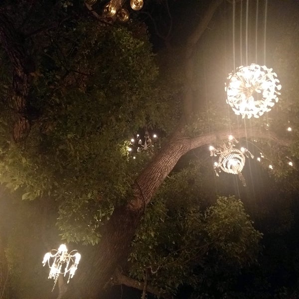 Photos at Chandelier Tree Tree in Silver Lake