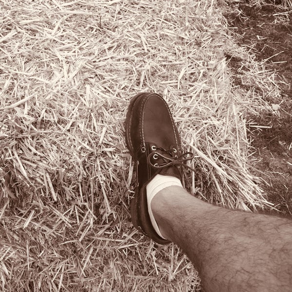 Haus Dusse Research Station In Bad Sassendorf