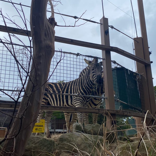 Foto diambil di Taronga Zoo oleh Yuriko S. pada 8/13/2023