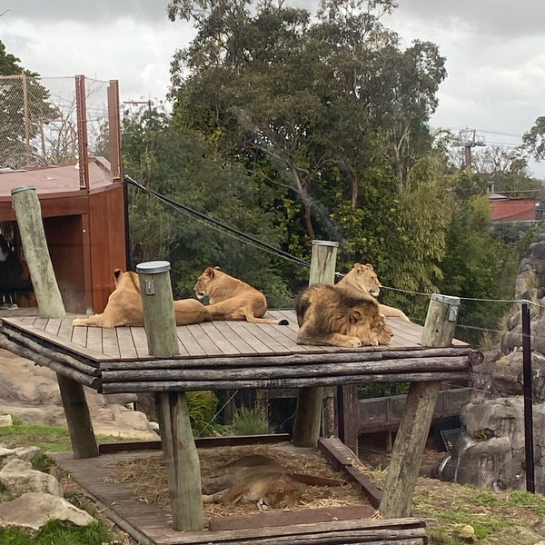 Foto tomada en Taronga Zoo  por Yuriko S. el 8/13/2023