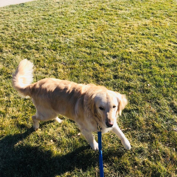 Kittredge Park Montclair Denver, CO