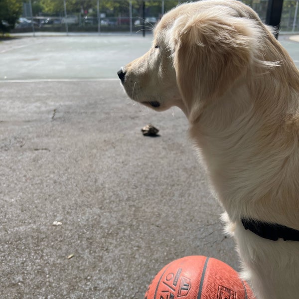 RavennaEckstein Community Center Playground in Seattle
