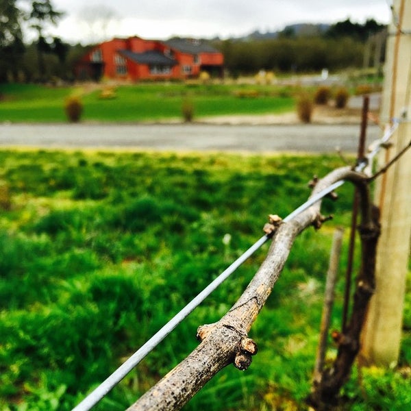 2/26/2015에 April Y.님이 Hyland Estates Winery에서 찍은 사진