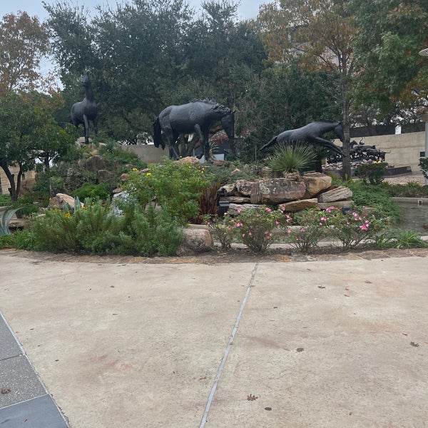 The Wine Garden Rodeo Houston 5 tips