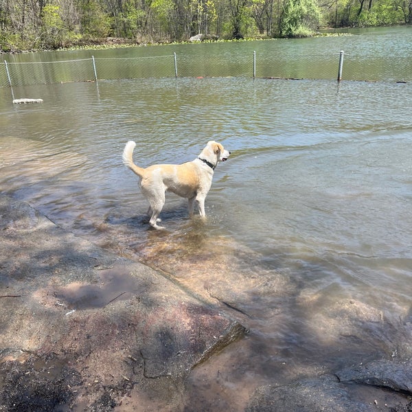Photos at Prospect Park Dog Beach Prospect Park 8 tips from 1169 visitors