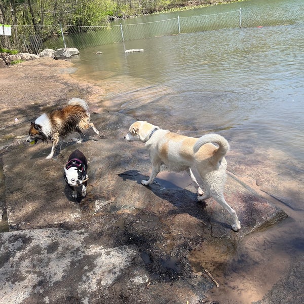 Photos at Prospect Park Dog Beach Prospect Park 8 tips from 1169 visitors