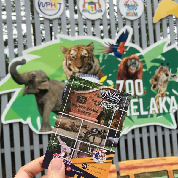 Photo taken at Zoo Melaka by Ziera R. on 6/18/2020