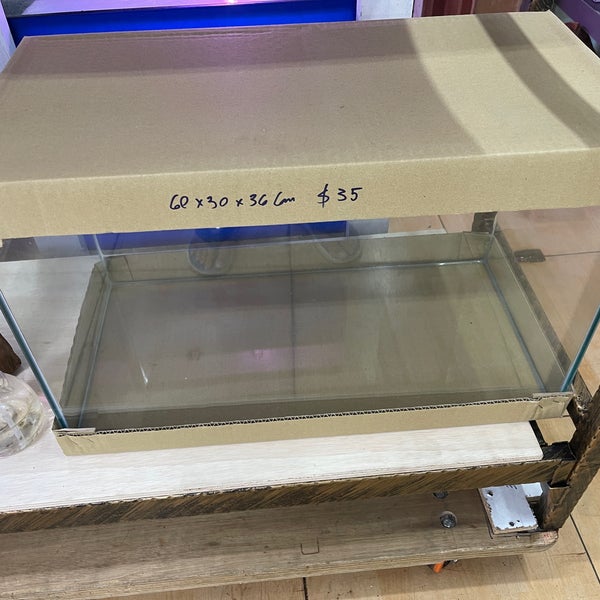 Polyart Aquarium Yishun