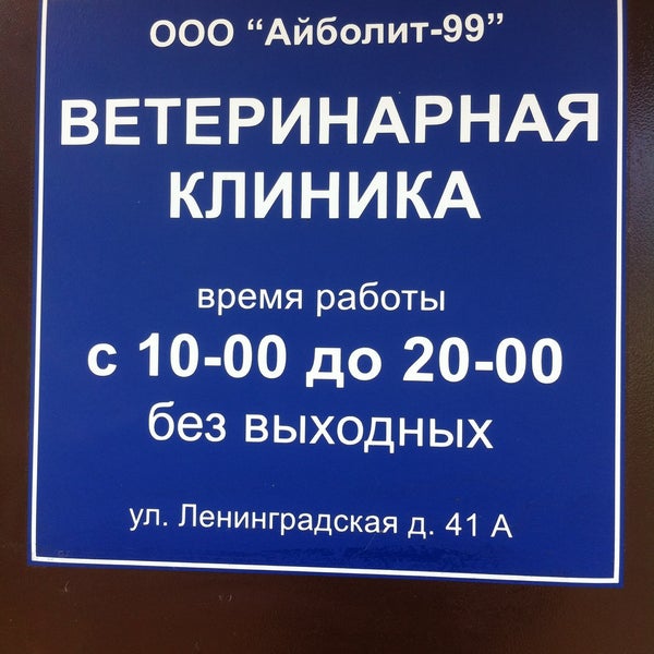 ветклиника айболит часы работы. ветклиника айболит часы работы. ветклиника айболит лысково. ветеринарная клиника михайловка волгоградская. слон ветеринарная клиника.