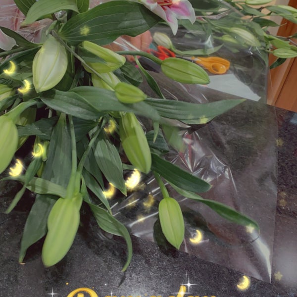 Gardenia الظهران الشرقية