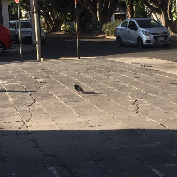 Parque Jardines De La Hacienda Parque