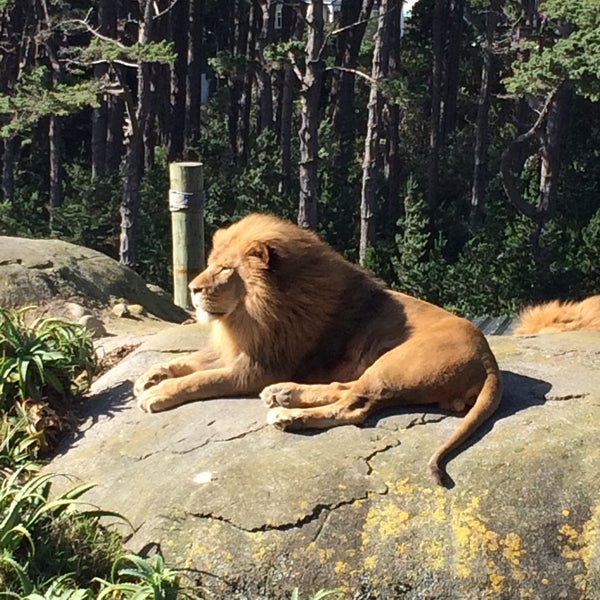 Photo taken at Wellington Zoo by Phil B. on 4/12/2015