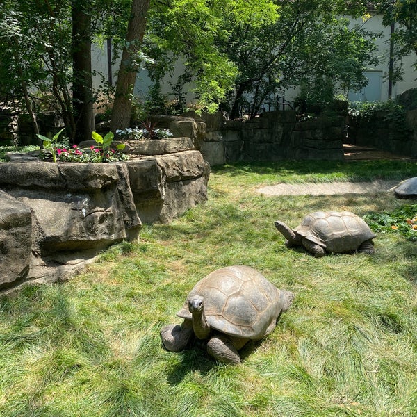 Das Foto wurde bei Saint Louis Zoo von Brandon S. am 6/9/2023 aufgenommen