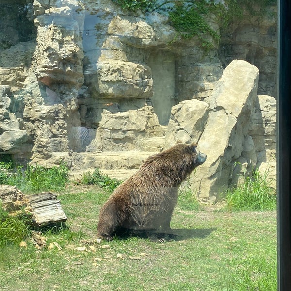 Foto diambil di Saint Louis Zoo oleh Brandon S. pada 6/9/2023