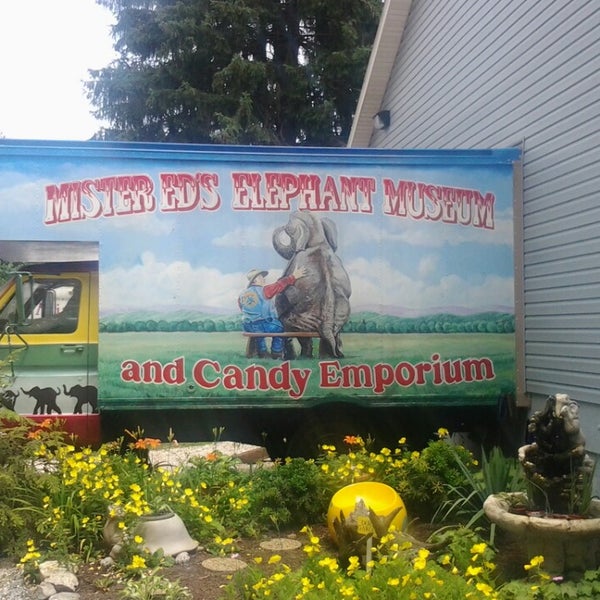 6/26/2013 tarihinde Ricky G.ziyaretçi tarafından Mister Ed&#39;s Elephant Museum &amp; Candy Emporium'de çekilen fotoğraf