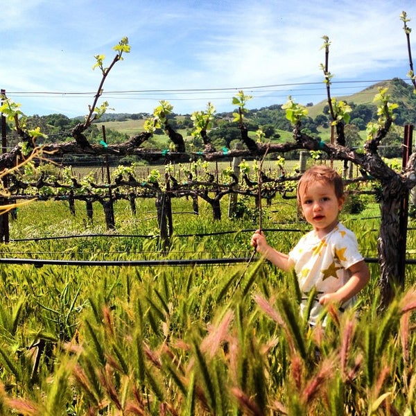 Photo taken at Kieu Hoang Winery by Concept A. on 4/14/2013