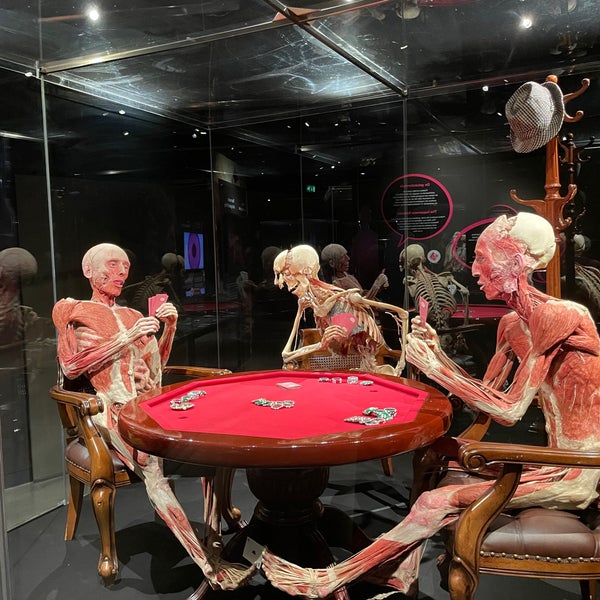 Photo taken at Body Worlds by R💫 on 12/8/2022