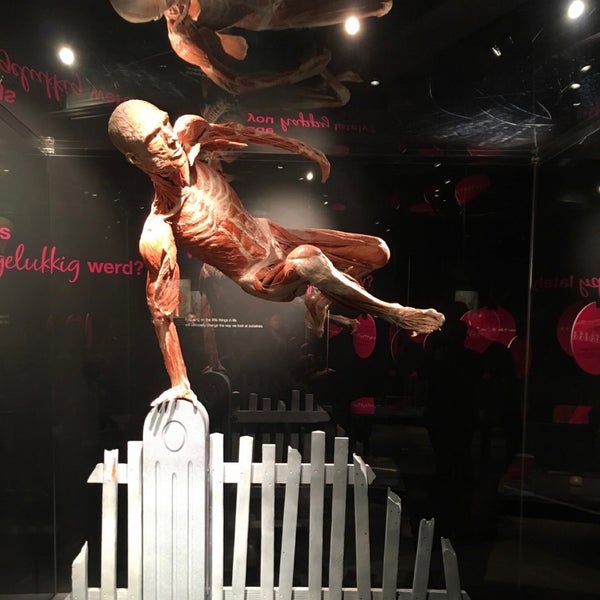 Photo taken at Body Worlds by SA on 7/24/2022