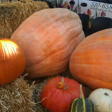 Photo taken at Piedmont Avenue Pumpkin Patch &amp; Haunted House by Kevin R. on 10/29/2012