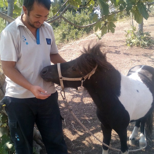 Das Foto wurde bei Doğuşlu Binicilik ve Pony Kulübü von Ali B. am 9/6/2016 aufgenommen