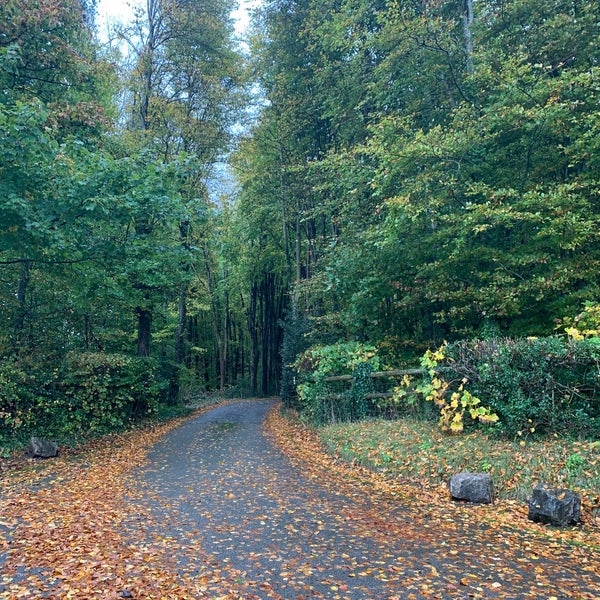 Cardiff Natural Burial Meadow Coedarhydyglyn Park