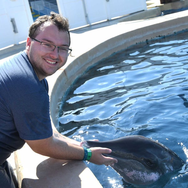 Gulf World Marine Park Aquarium in Panama City Beach