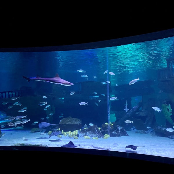 Foto tomada en Antalya Aquarium  por Nikoo A. el 3/22/2024