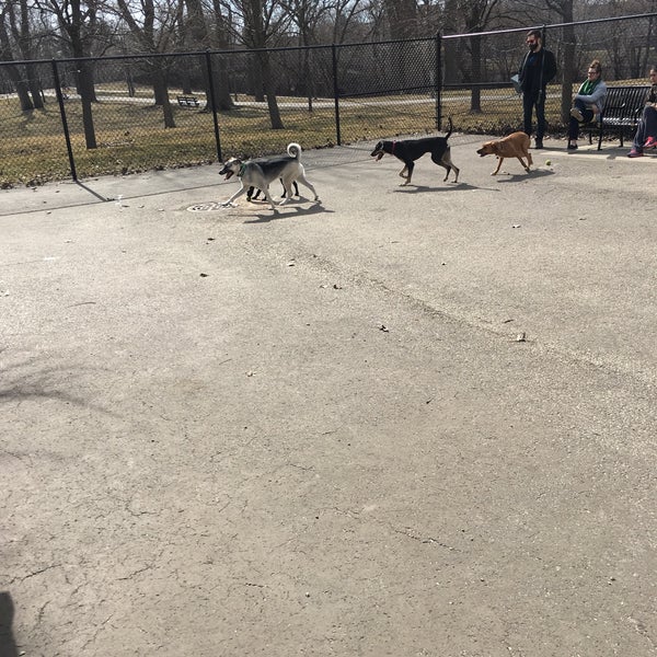 River Dog Park Dog Park in Chicago