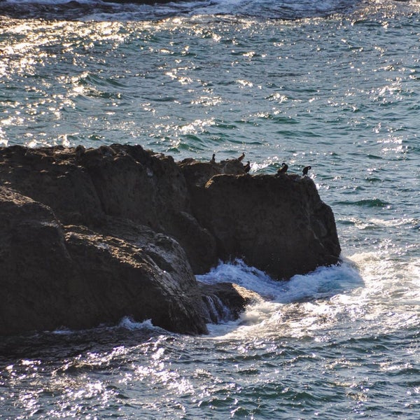 9/1/2023にGolnaz S.がSolar Beachで撮った写真