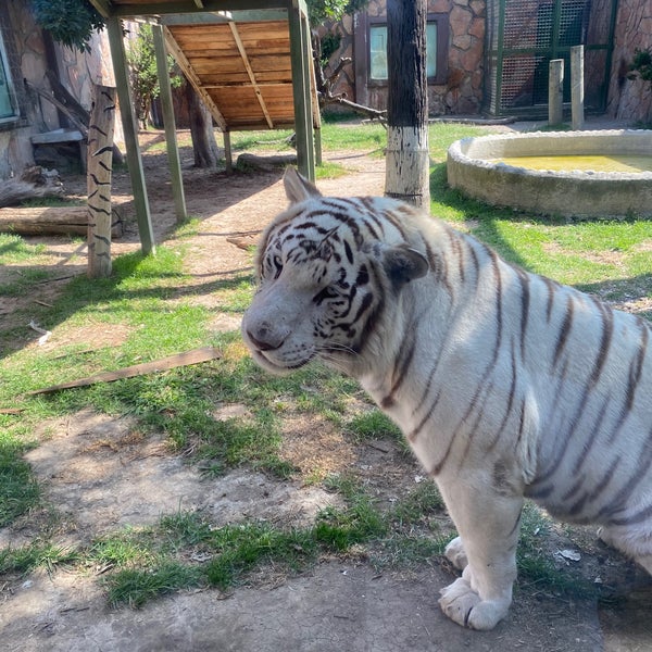 Photo taken at Zoo Parque Loro by Lalex L. on 11/17/2022