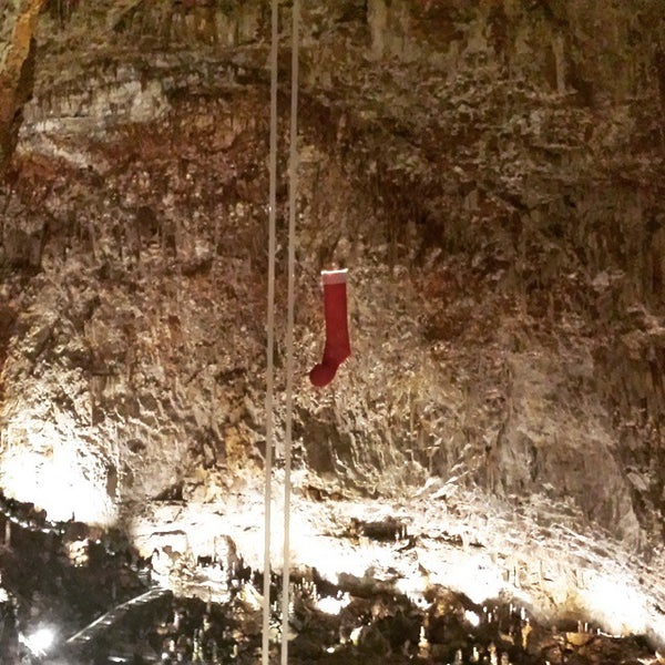Photo taken at Grotta Gigante by Antonio G. on 1/6/2015