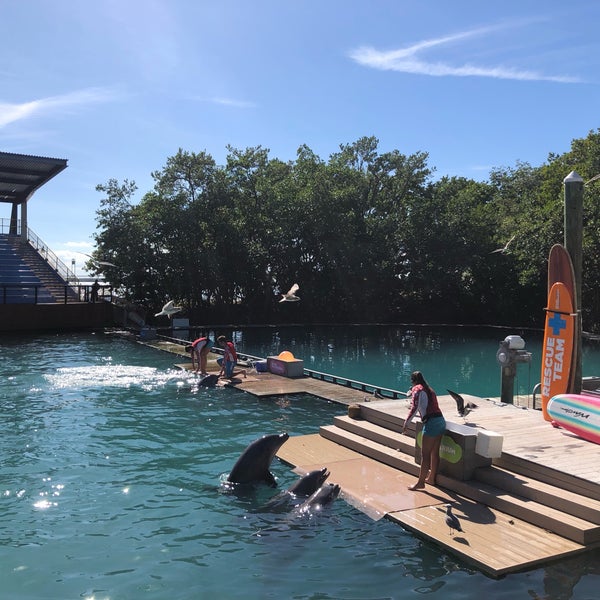 Das Foto wurde bei Miami Seaquarium von Lina Ş. am 12/4/2019 aufgenommen